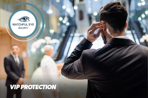 Why Security Guards Are Crucial for VIP Protection - Watchful Eye ...