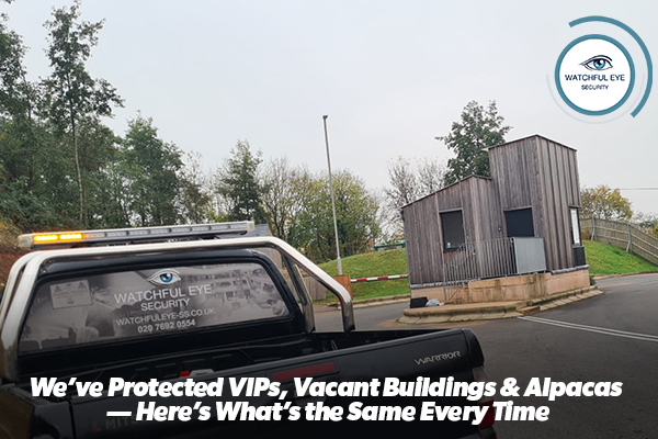We’ve Protected VIPs, Vacant Buildings & Alpacas — Here’s What’s the Same Every Time