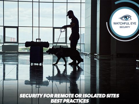 Security for Remote or Isolated Sites: Best Practices